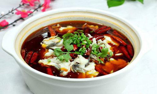 杨林酸菜鱼加盟与技术转让费用详解 全面预算规划指南